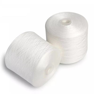 20/2, 20/3, 40/2 40/3 Bianco grezzo 100% poliestere anello filato per la tintura