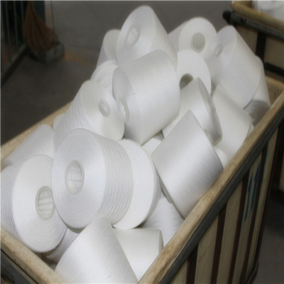 Eco-Friendly 20/2, 30/2, 40/2 Bianco grezzo 100% poliestere