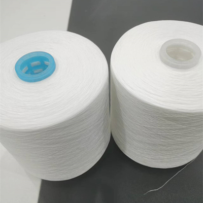 20s/2 30s/2 40s/2 100% Filato di poliestere anello spunto Filato di poliestere dalla Cina Produttori