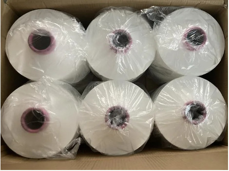 Fabbricazione a partire da fili di poliesteri di colore bianco DTY 100% 150/36 150/48 150/144