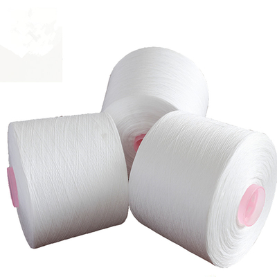 Tubo di colorante bianco grezzo 100% poliestere anello spunto 40/2 40/3 20/2
