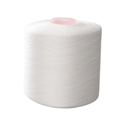Tubo di colorante bianco grezzo 100% poliestere anello spunto 40/2 40/3 20/2