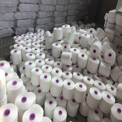 40/2 Marca Filati di poliestere di alta tenacità AAA