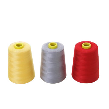 Al dettaglio 40/2 Filati di ricamo Filati di ricamo colorati 100% poliestere