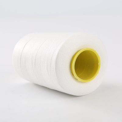 Al dettaglio 40/2 Filati di ricamo Filati di ricamo colorati 100% poliestere