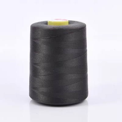 Al dettaglio 40/2 Filati di ricamo Filati di ricamo colorati 100% poliestere
