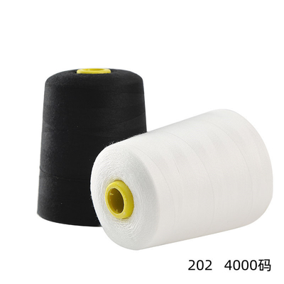 Al dettaglio 40/2 Filati di ricamo Filati di ricamo colorati 100% poliestere