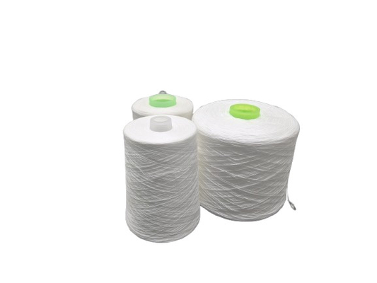 20/2 20/3 20/6 Bianco grezzo 100% anello spunto filato di poliestere cucitura abbigliamento a maglia