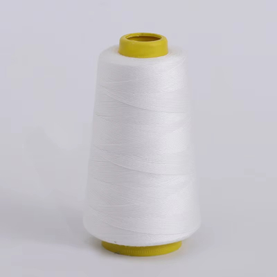 Al dettaglio 40/2 40/3 100% filati di poliesteri spunti Filati di poliesteri di fibre staminali Filati di coloranti per filati