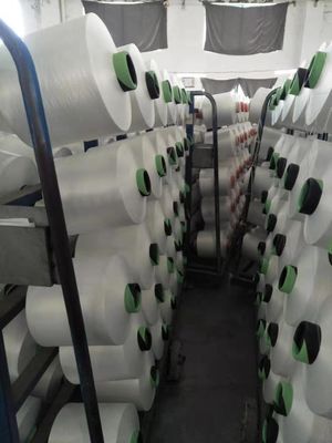 150D/48F/2 300D/96F/2 DTY NIM LIM Filo di poliesteri 100% bianco grezzo