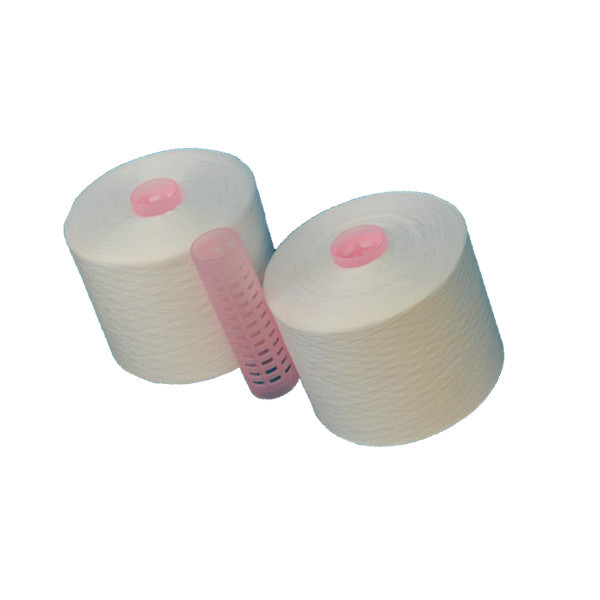 Tubo di colorante bianco grezzo 100% poliestere anello spunto 40/2 40/3 20/2